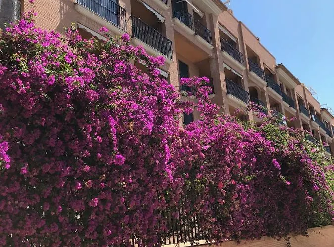 Cale Furs Dels 15 Mar アパート